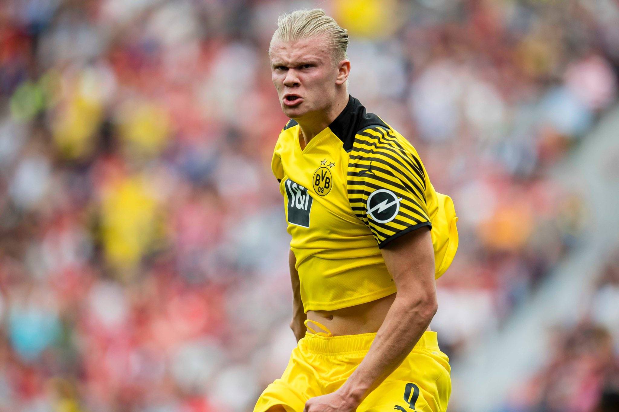 理性追星，新鹏城vs成都赛后有球迷跳下看台与韦世豪合影（理性追星：新鹏城对成都赛后球迷翻越看台与韦世豪合影）